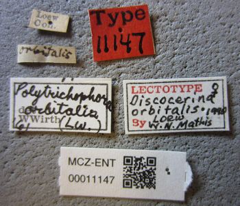 Media type: image;   Entomology 11147 Aspect: labels